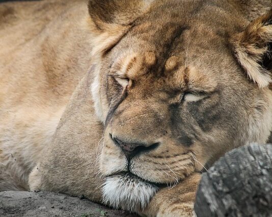 Jak rozmawiać z leniwym pracownikiem?
