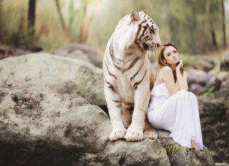 Co to jest ochrona środowiska naturalnego? Co to jest ochrona środowiska naturalnego?