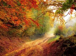 Czy mgła jest chmura?