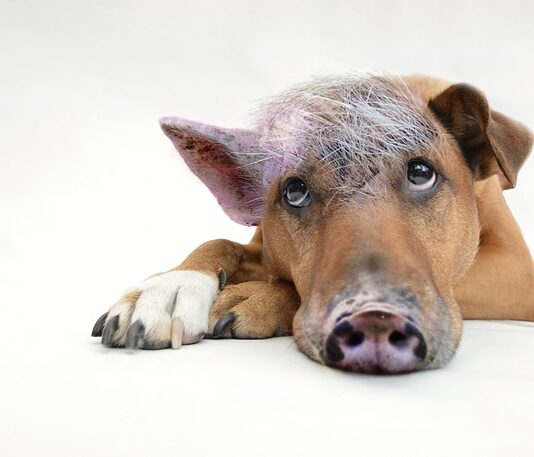 Jak zacząć przygodę z coachingu?