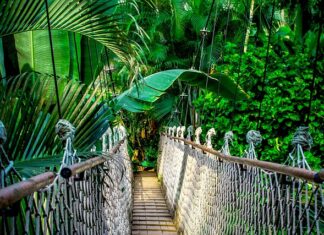 W jakie kursy warto inwestować? W jakie kursy warto inwestować?