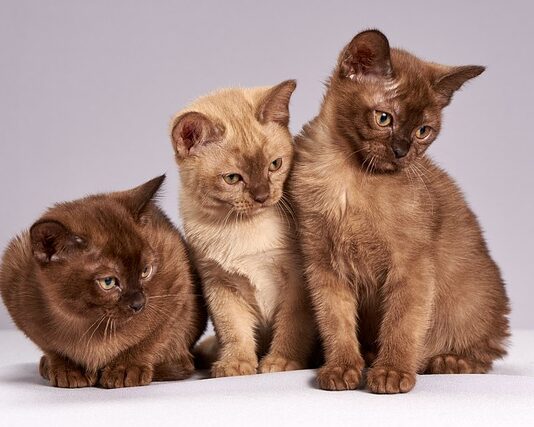 Jak napisać że jestem zainteresowany ofertą pracy?